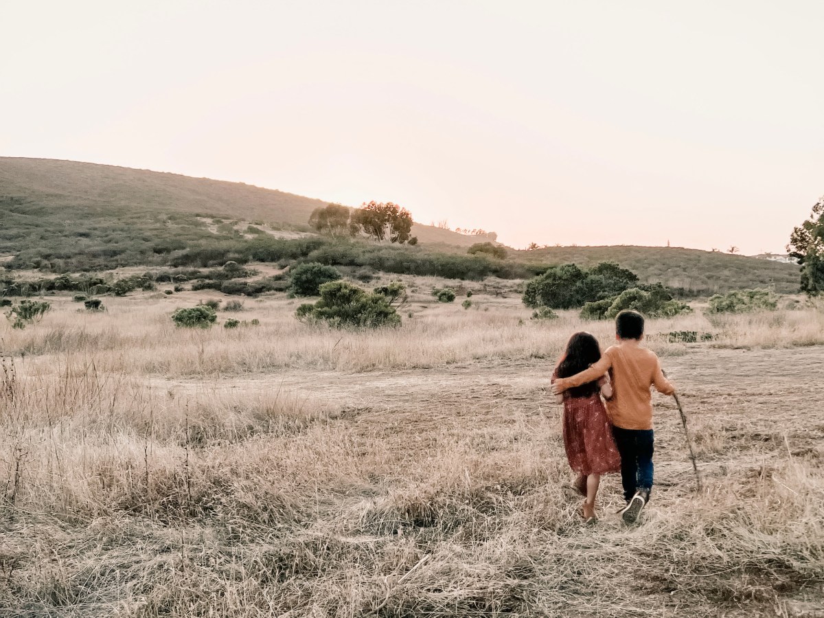 Shifting With The&nbsp;Landscape